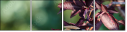 68702565