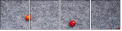 68721150