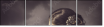 68741599