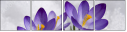 68748195