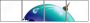 68778119