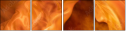 68781470