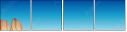 68787038