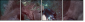 68796734