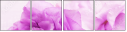 68847912