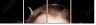 68860833