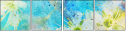 68906005
