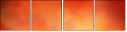 68917017