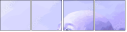 68948444