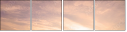 69126099