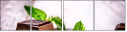 69173350