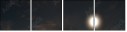 69184164