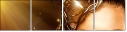 69271737
