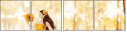 69296055