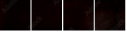 69305872