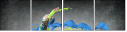 69356073