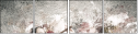 69364325
