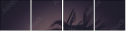 69419476