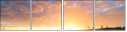 69429310