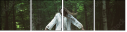 69436543