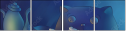 69445224