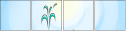 69445521