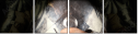 69546353
