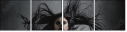 69547312