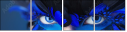 69641172