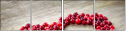 69731360