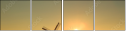 70018959