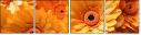 701850992