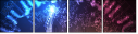 70252580