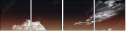 70329785