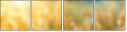 704903760
