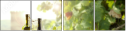 70507452