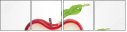 70592909