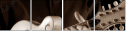70882900
