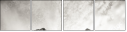 71100716