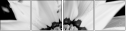 71181016