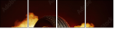 71231906