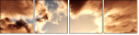 71315910