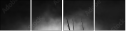 71412657