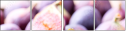 71518777