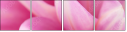 71579272
