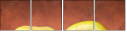 72103606