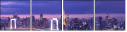 72754895