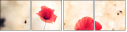 72894473