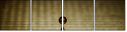 73056406