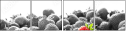 73096303